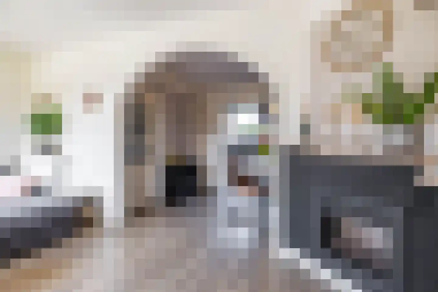 Molenakkers 27 Annen thumbnail 19