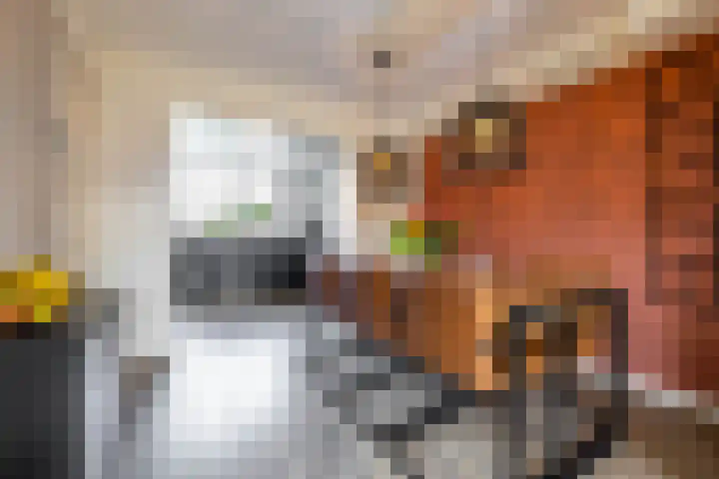 Molenakkers 27 Annen thumbnail 20