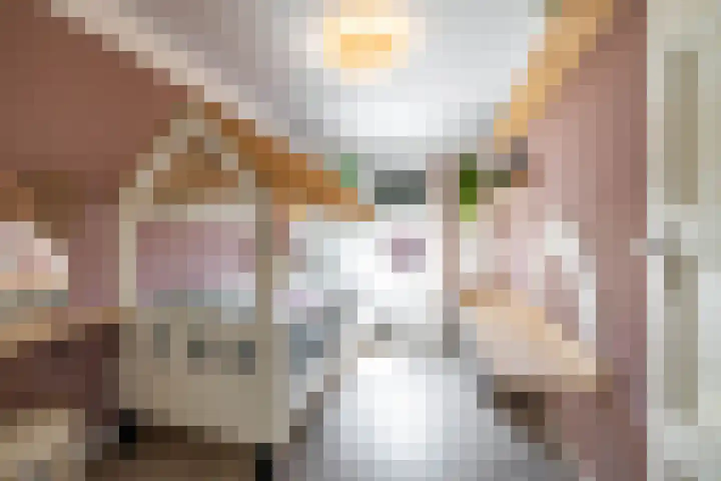 Molenakkers 27 Annen thumbnail 39