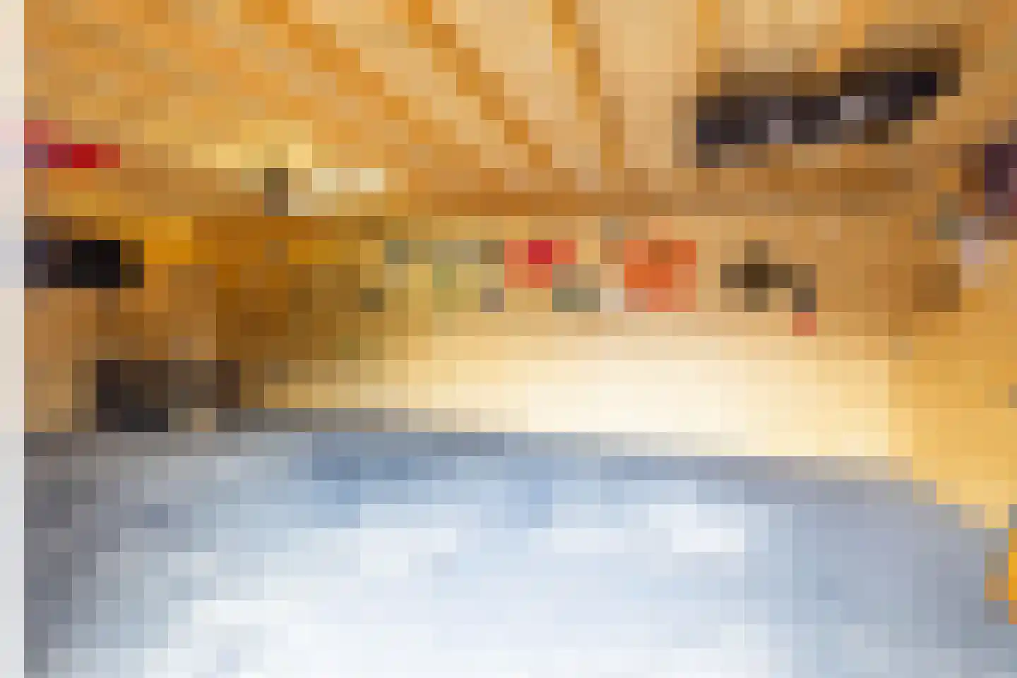 Molenakkers 27 Annen thumbnail 46