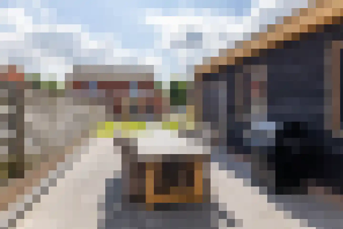 Molenakkers 27 Annen thumbnail 50
