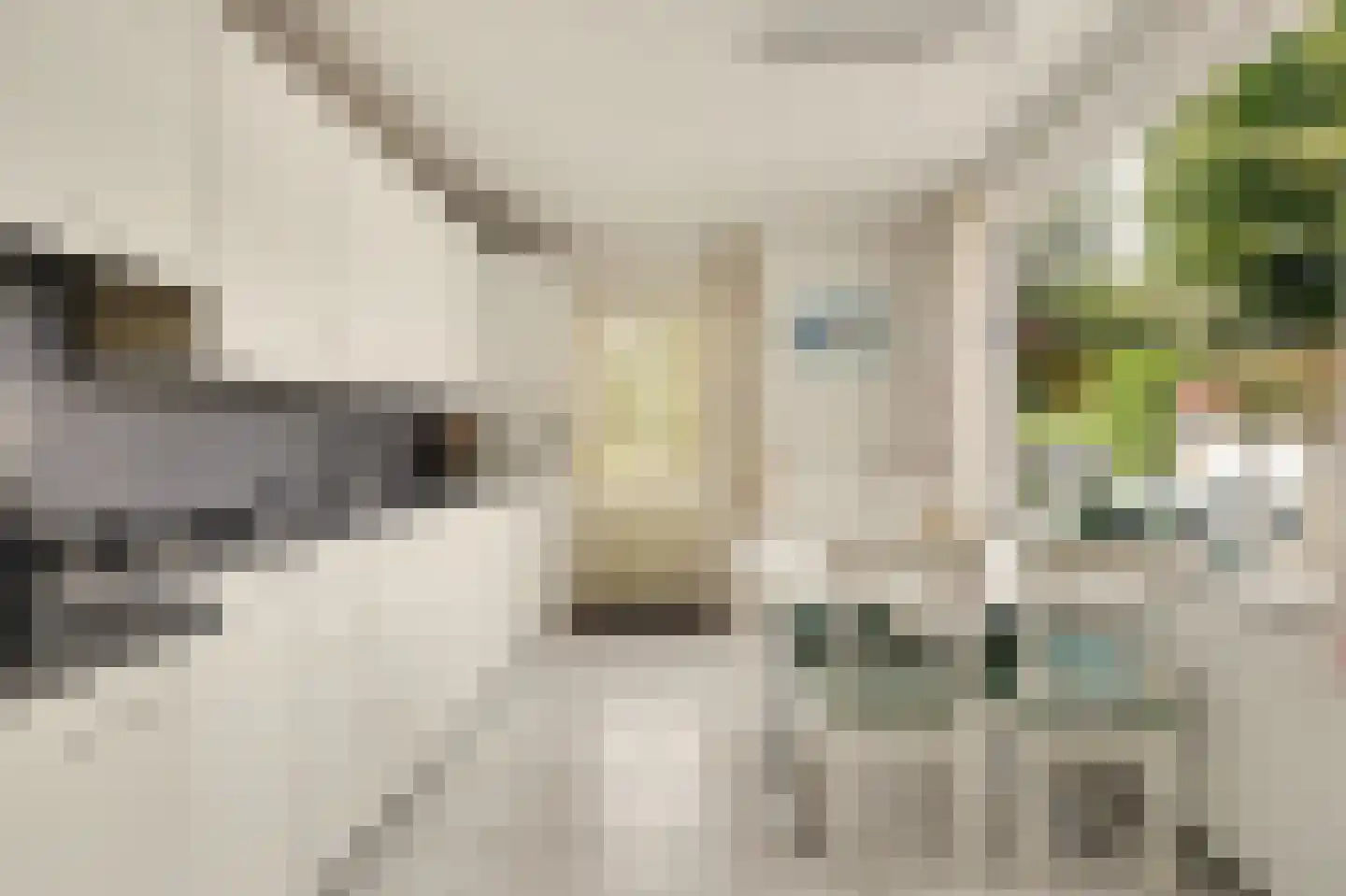 Molenakkers 28 Eersel thumbnail 19