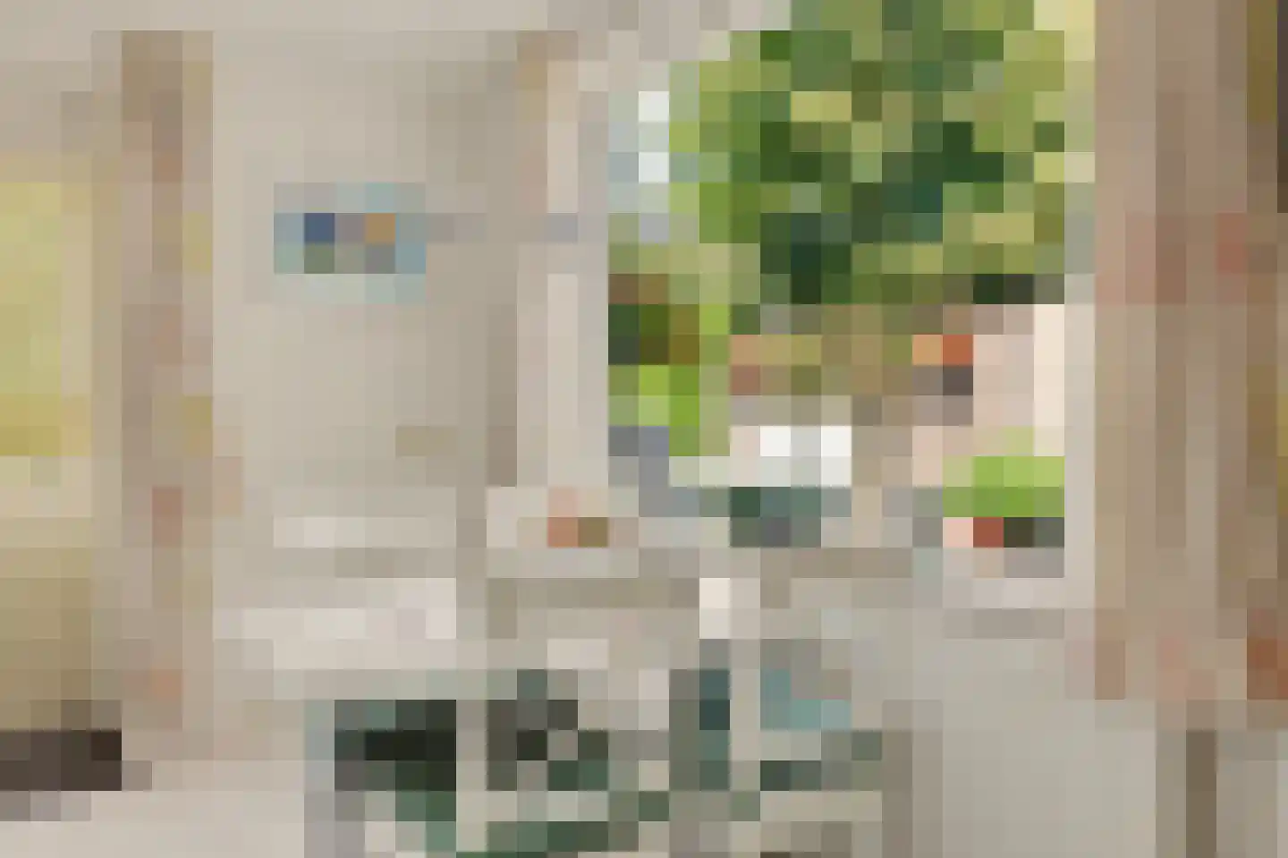 Molenakkers 28 Eersel thumbnail 20