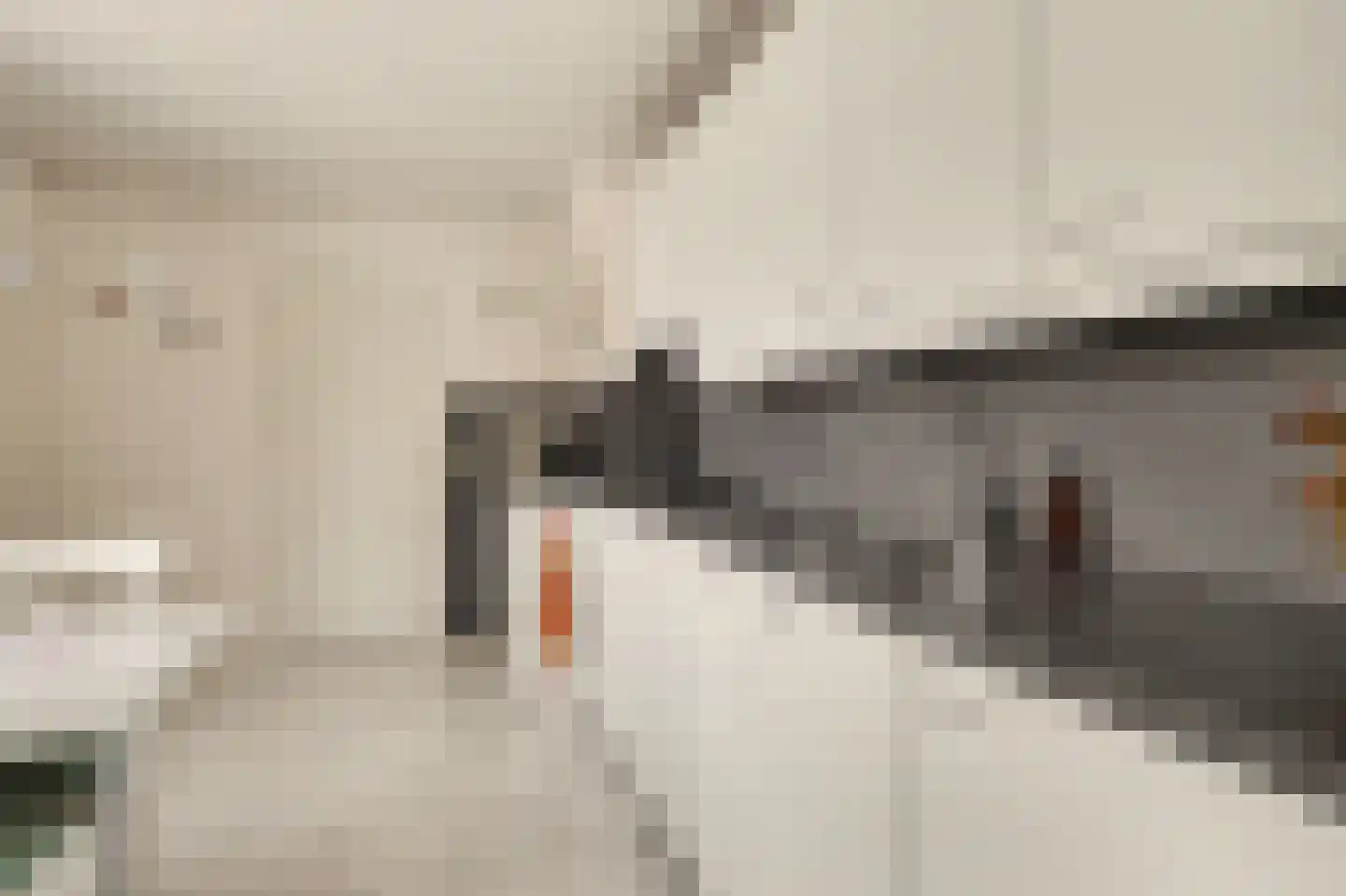 Molenakkers 28 Eersel thumbnail 21