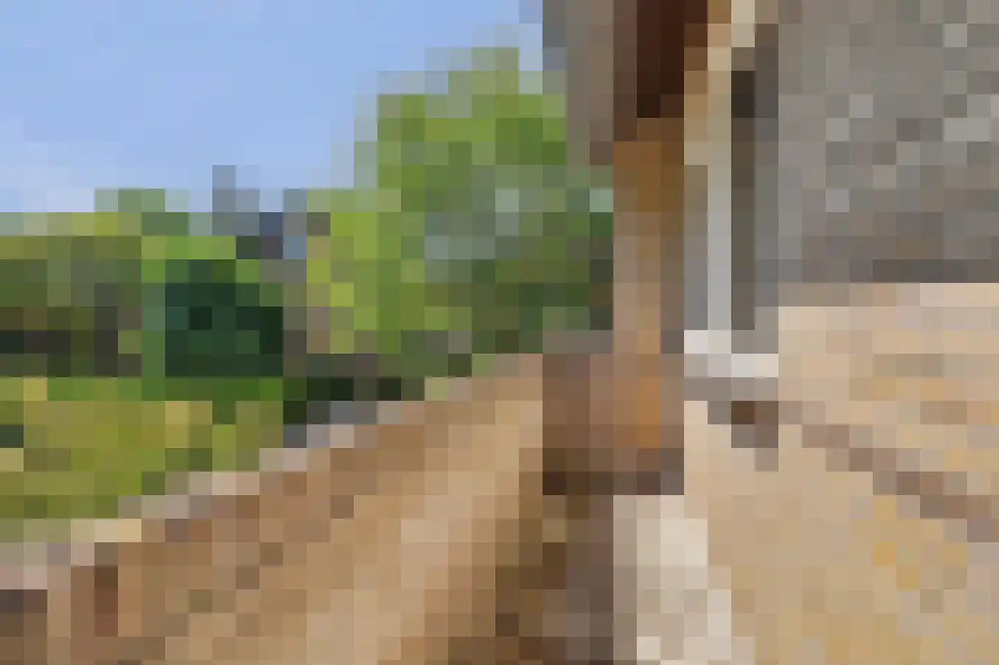Molenakkers 28 Eersel thumbnail 26