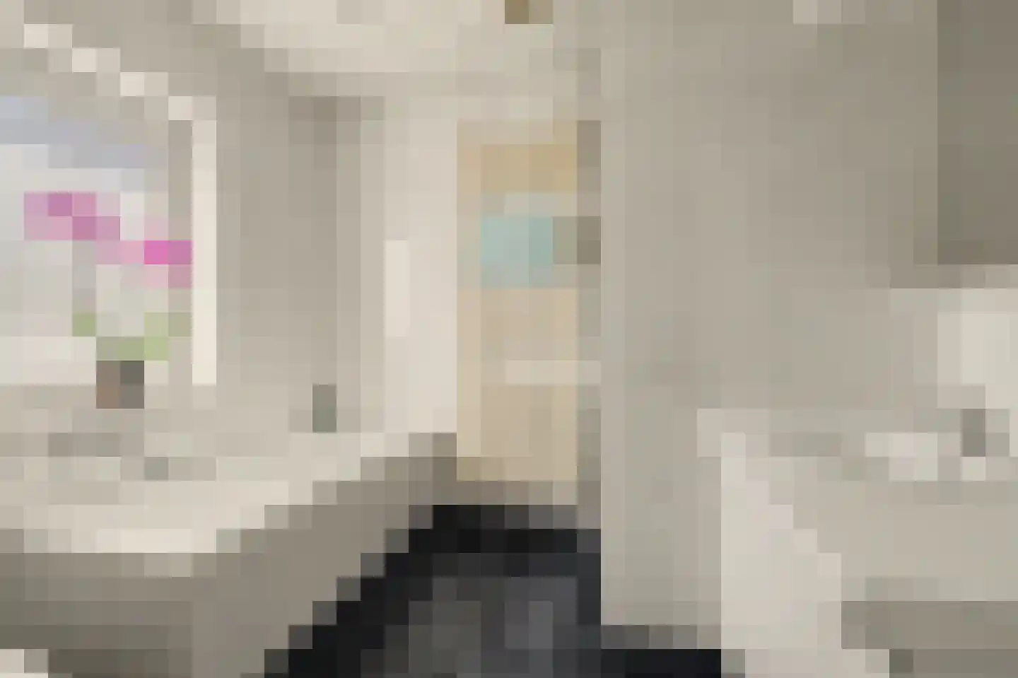 Molenakkers 28 Eersel thumbnail 30