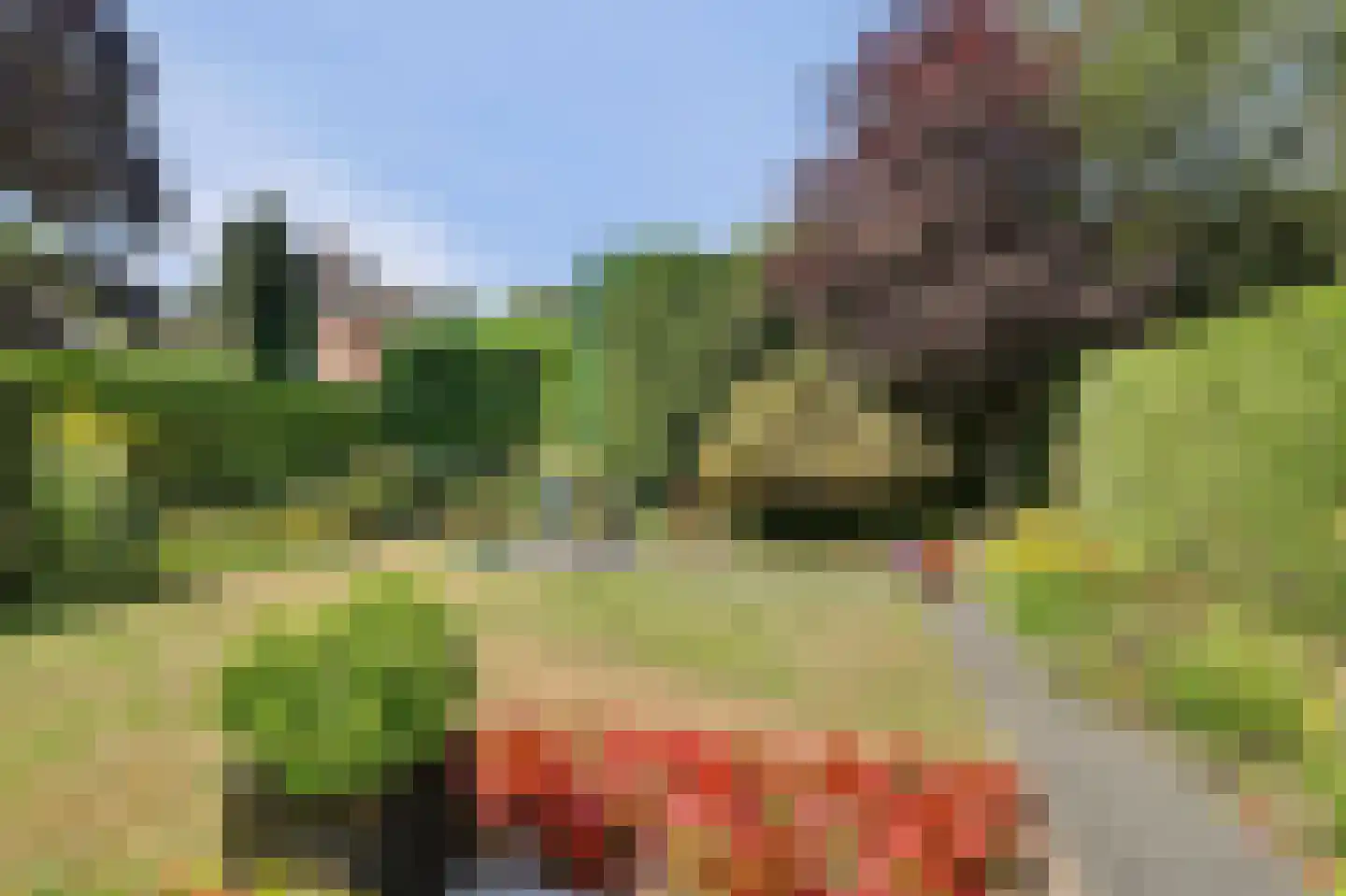 Molenakkers 28 Eersel thumbnail 37