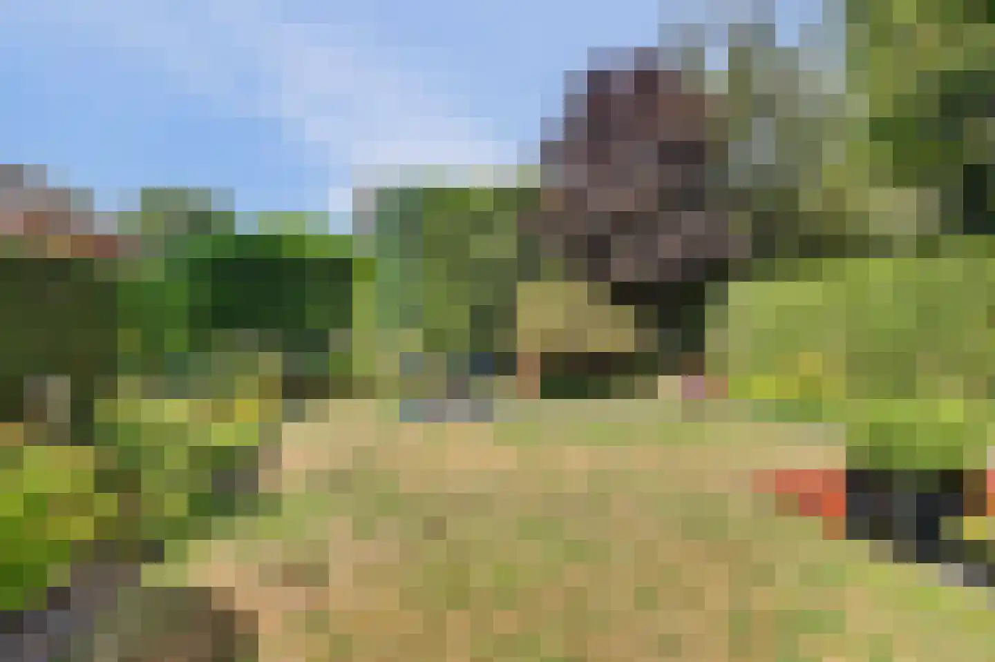 Molenakkers 28 Eersel thumbnail 38