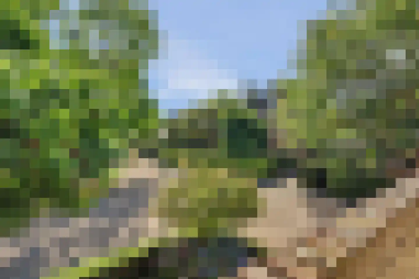 Molenakkers 28 Eersel thumbnail 4