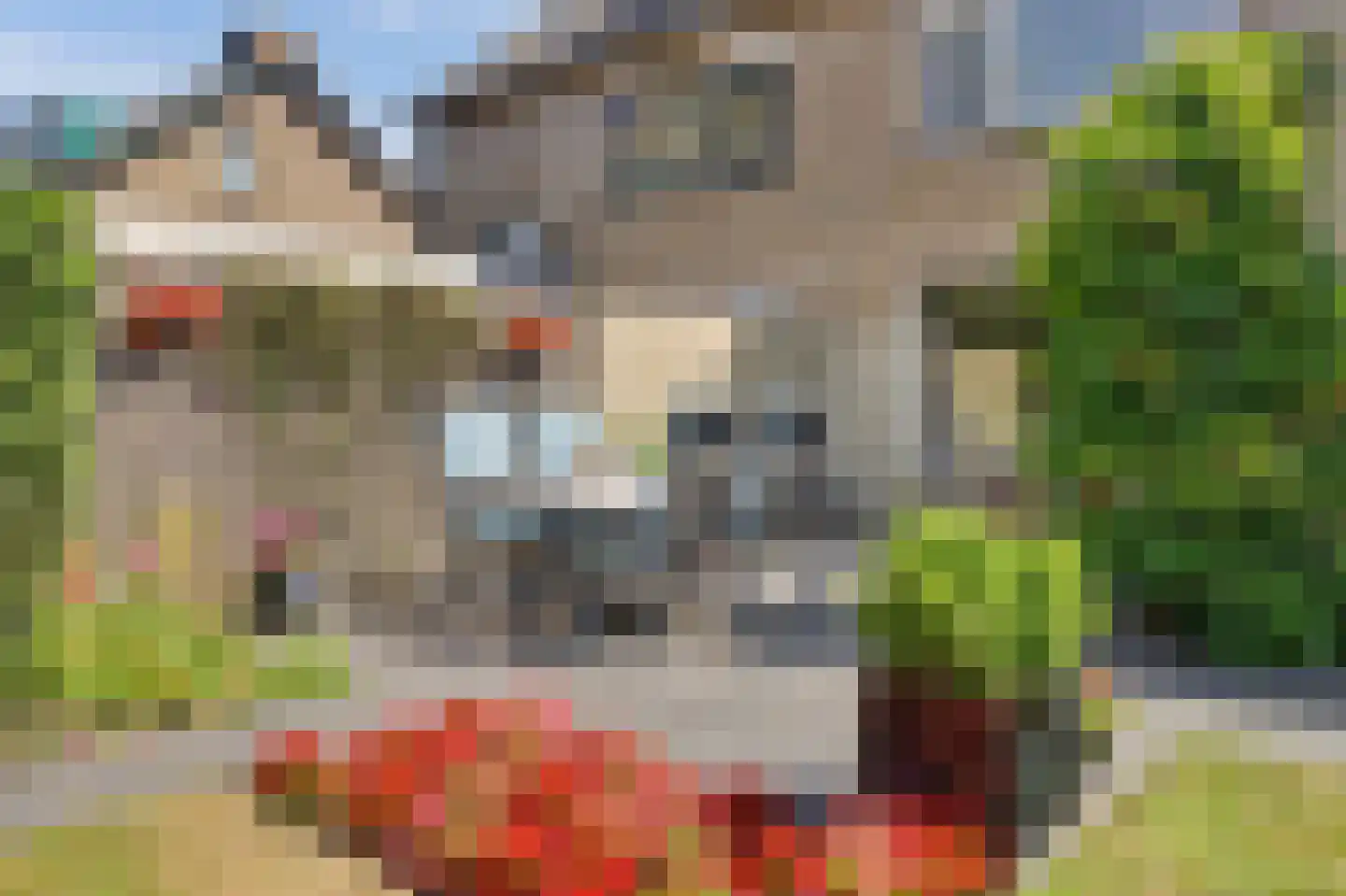 Molenakkers 28 Eersel thumbnail 43
