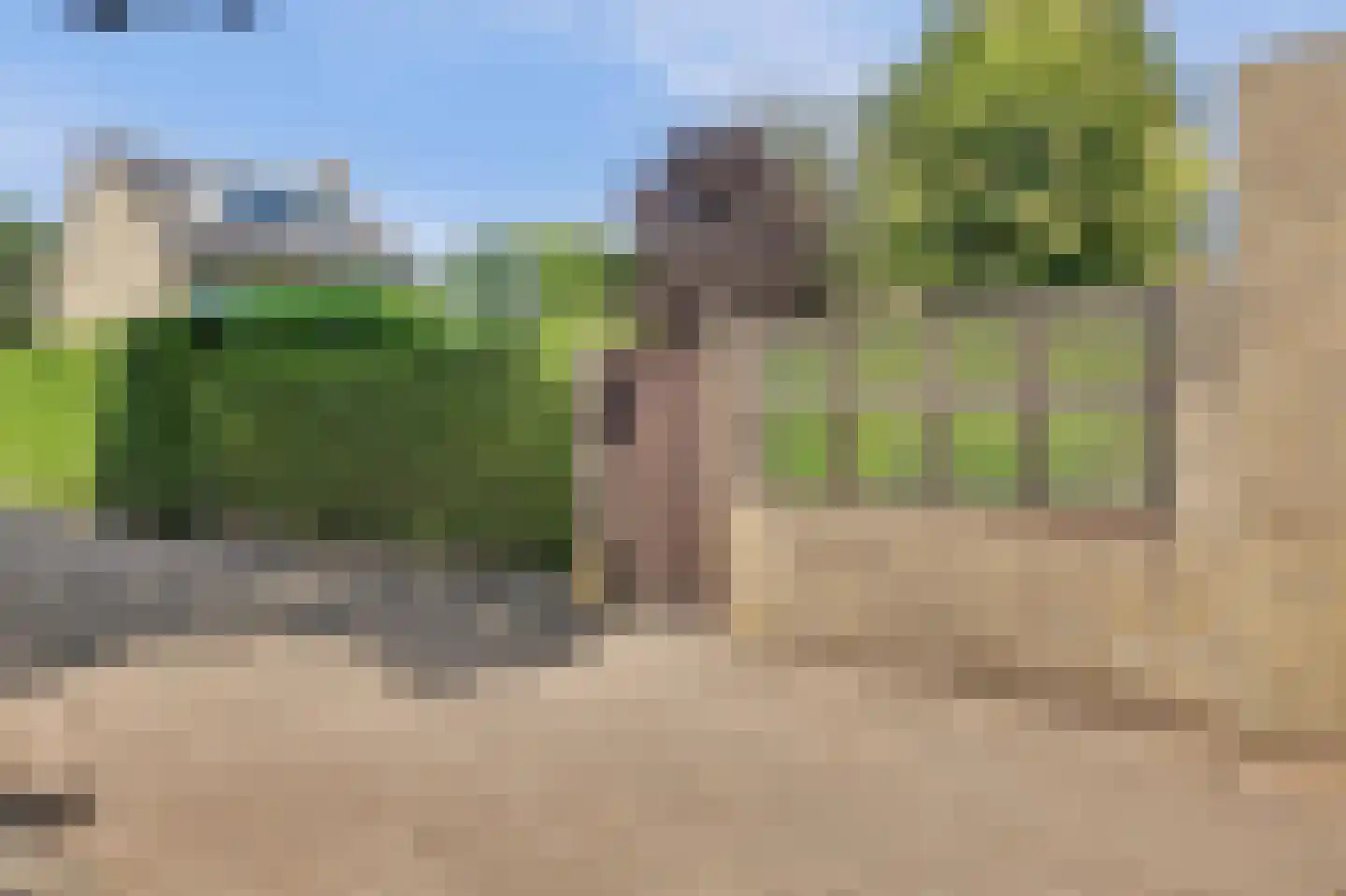 Molenakkers 28 Eersel thumbnail 45