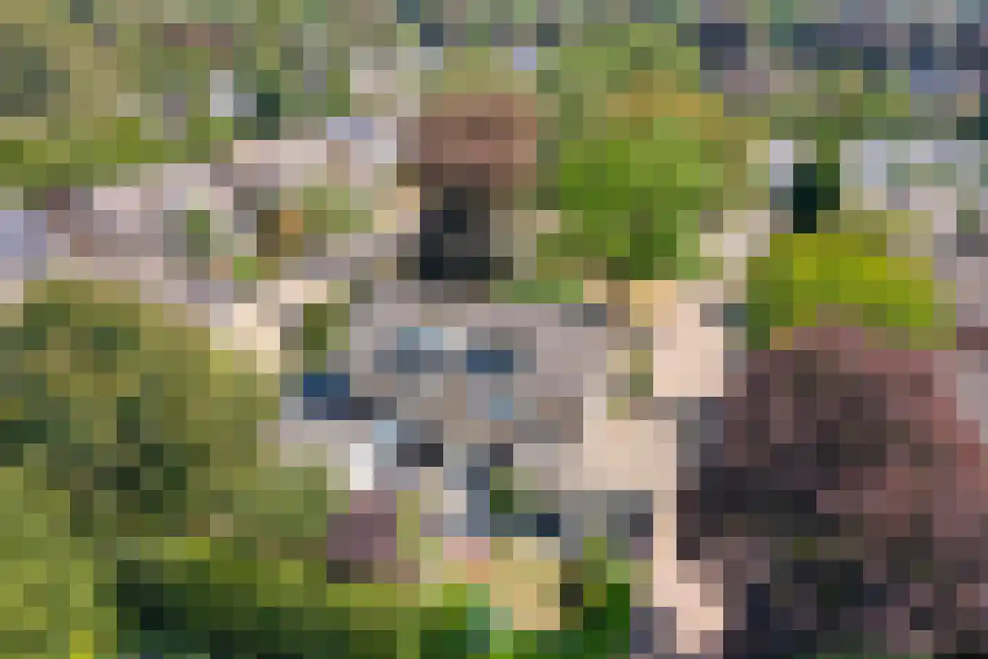 Molenakkers 28 Eersel thumbnail 47
