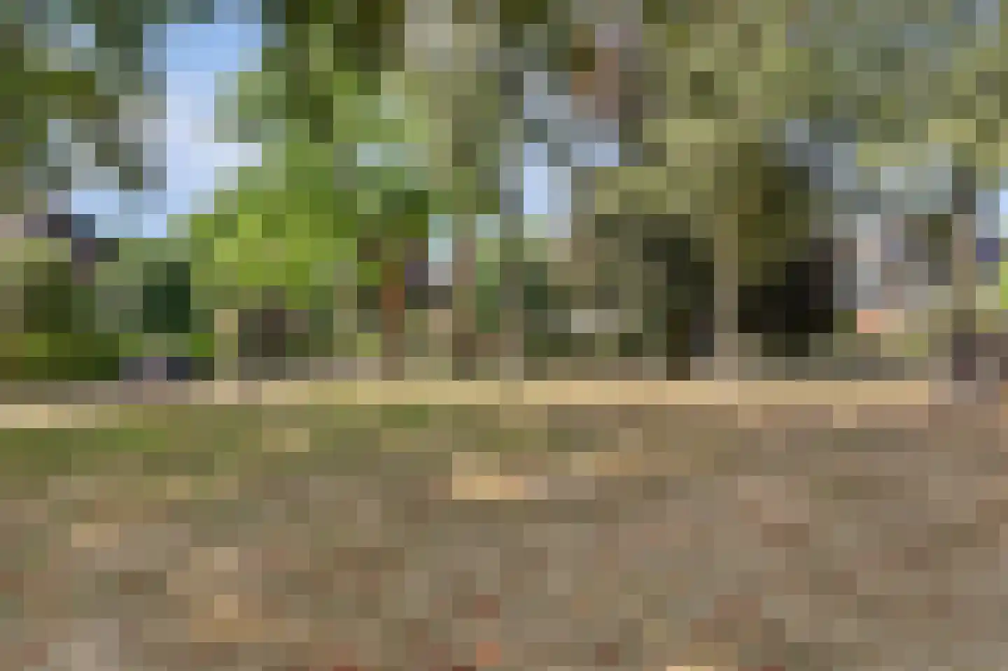 Molenakkers 28 Eersel thumbnail 48