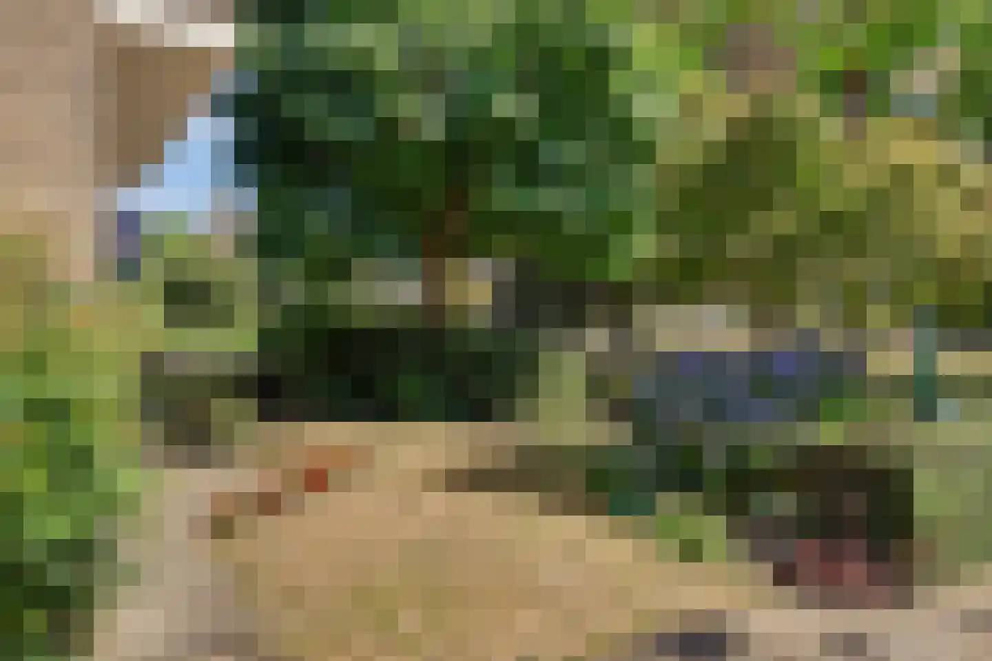 Molenakkers 28 Eersel thumbnail 7