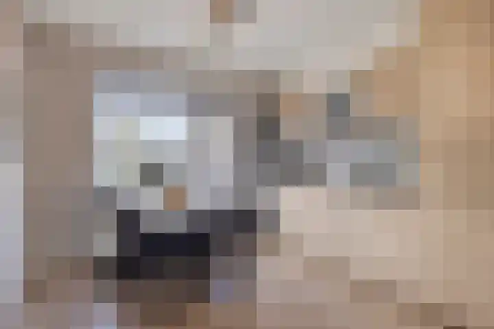 Molenakkers 31 Annen thumbnail 10