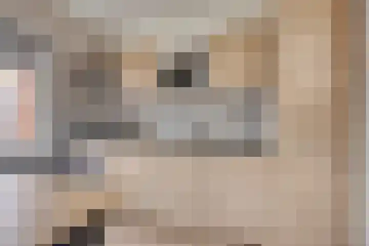 Molenakkers 31 Annen thumbnail 13