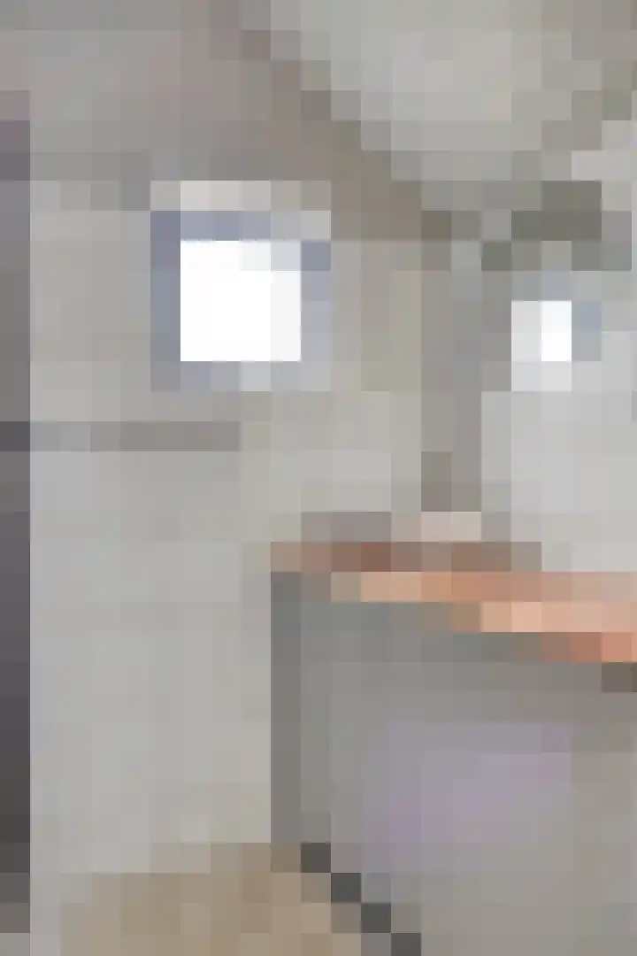 Molenakkers 31 Annen thumbnail 19