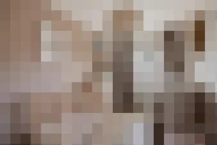 Molenakkers 31 Annen thumbnail 24