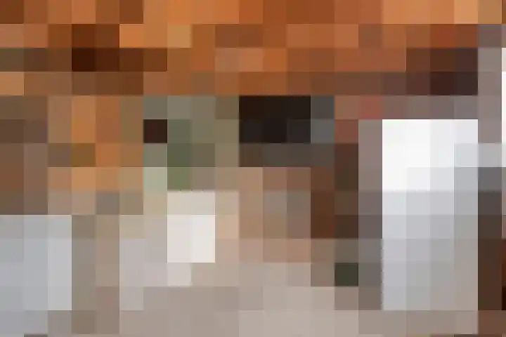 Molenakkers 31 Annen thumbnail 34