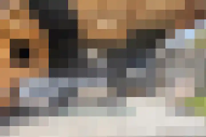Molenakkers 31 Annen thumbnail 35