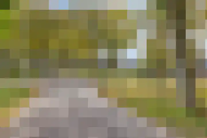 Molenakkers 31 Annen thumbnail 38