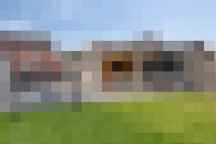 Molenakkers 31 Annen thumbnail 4