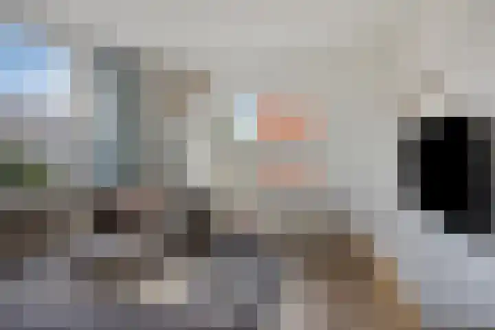 Molenakkers 31 Annen thumbnail 6