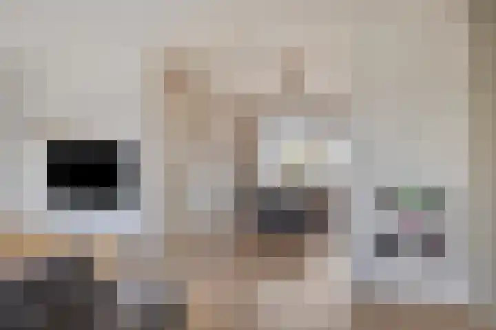 Molenakkers 31 Annen thumbnail 8