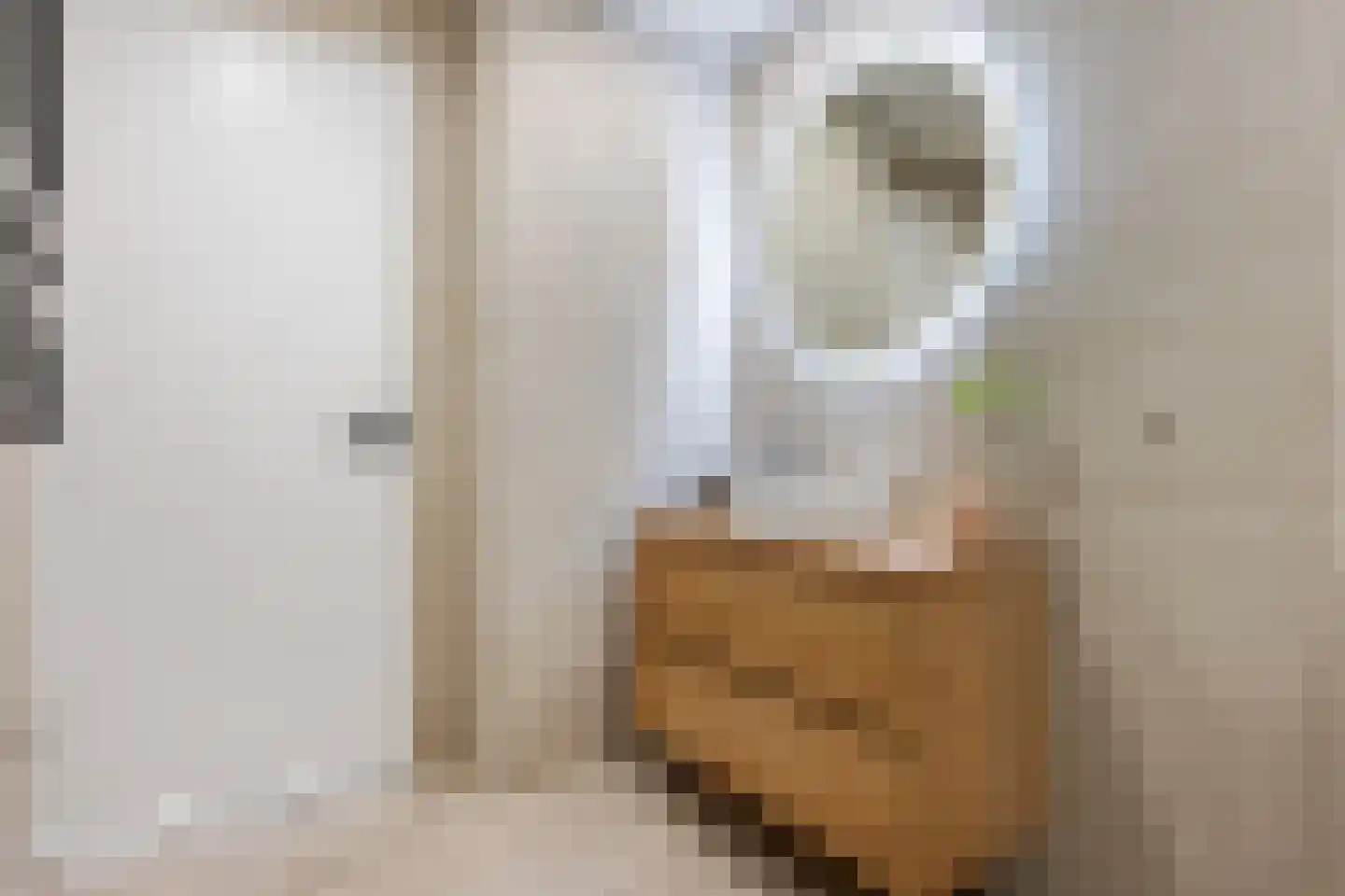 Molenakkers 34 Annen thumbnail 17