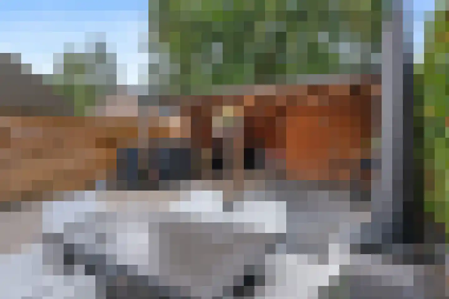 Molenakkers 34 Annen thumbnail 29