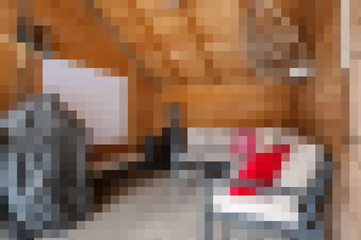 Molenakkers 34 Annen thumbnail 30
