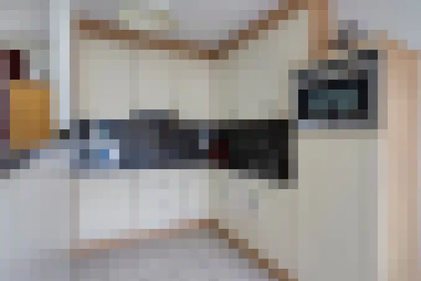 Molenakkers 4 Bladel thumbnail 14