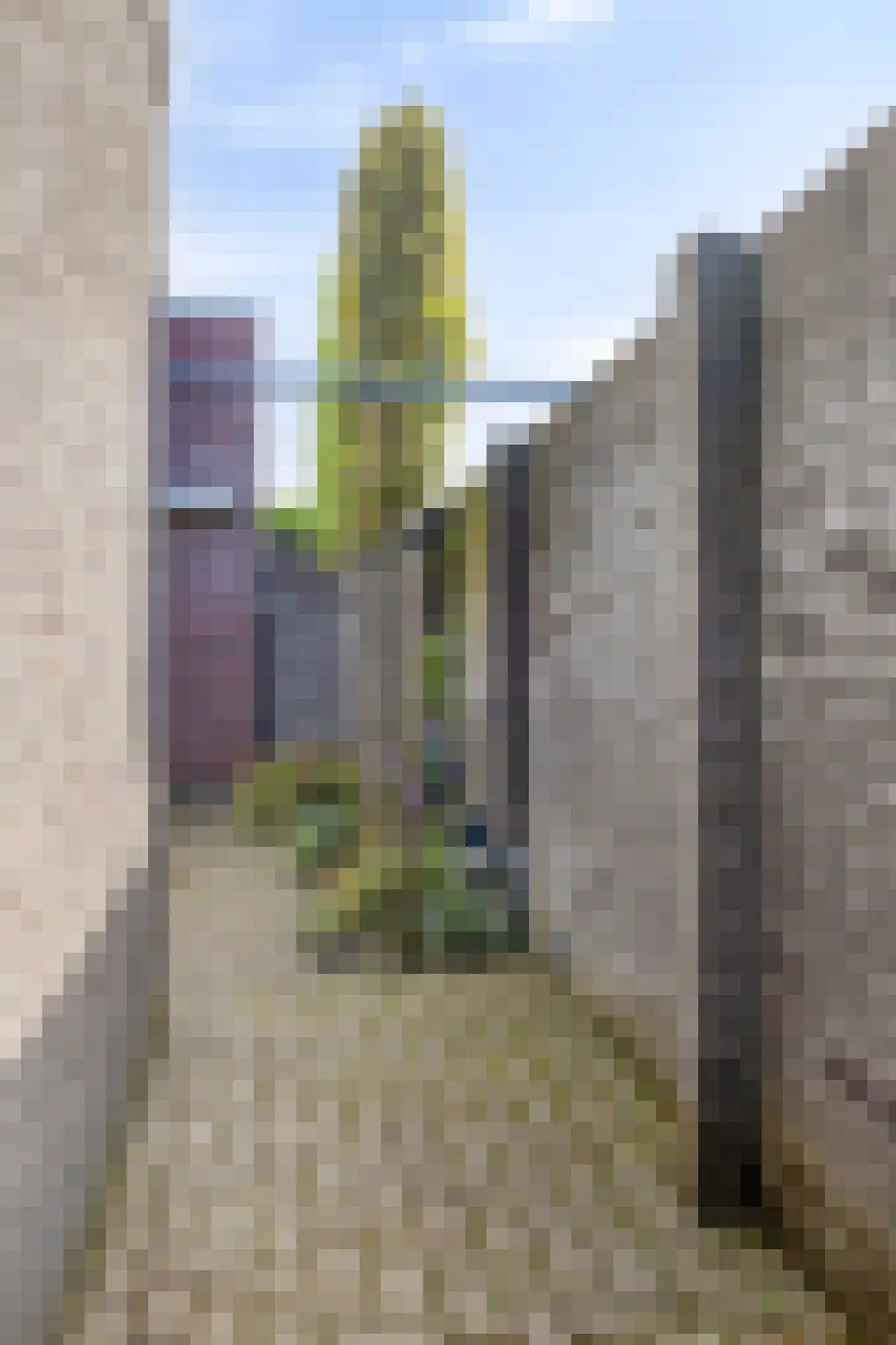 Molenakkers 4 Bladel thumbnail 32
