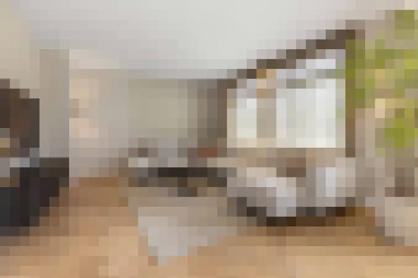Molenakkers 43 Bakel thumbnail 10