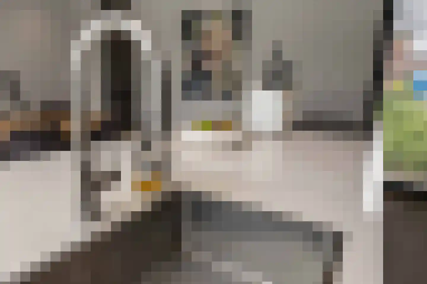 Molenakkers 43 Bakel thumbnail 16