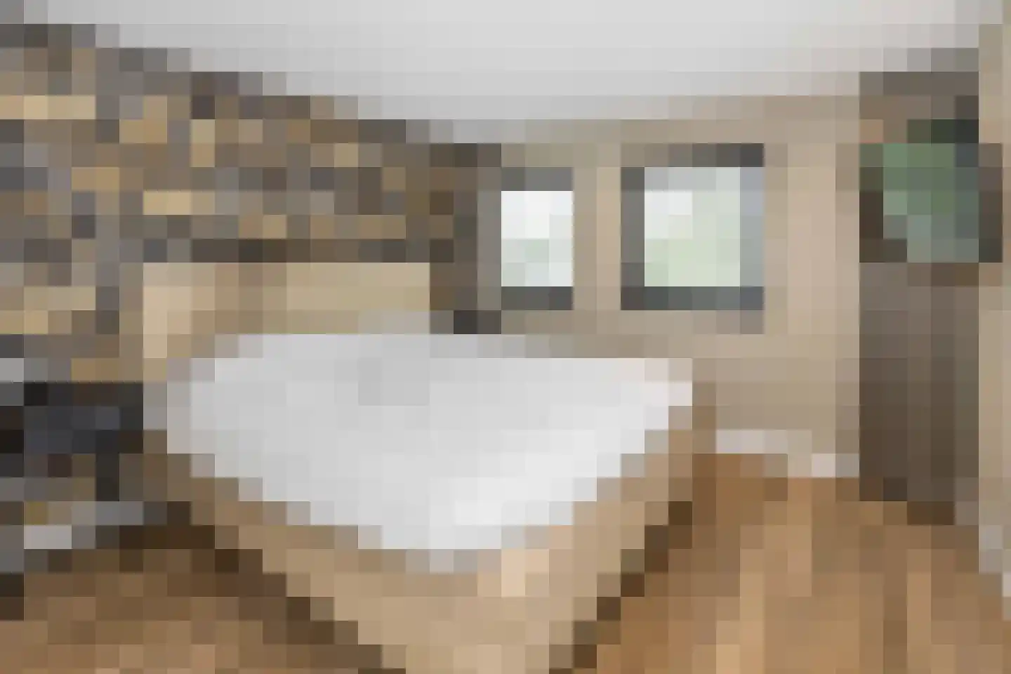 Molenakkers 43 Bakel thumbnail 23