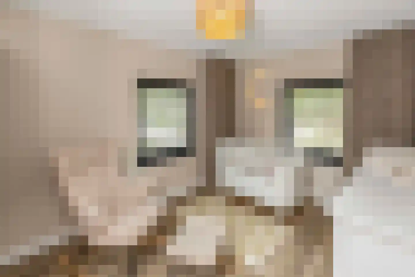 Molenakkers 43 Bakel thumbnail 25