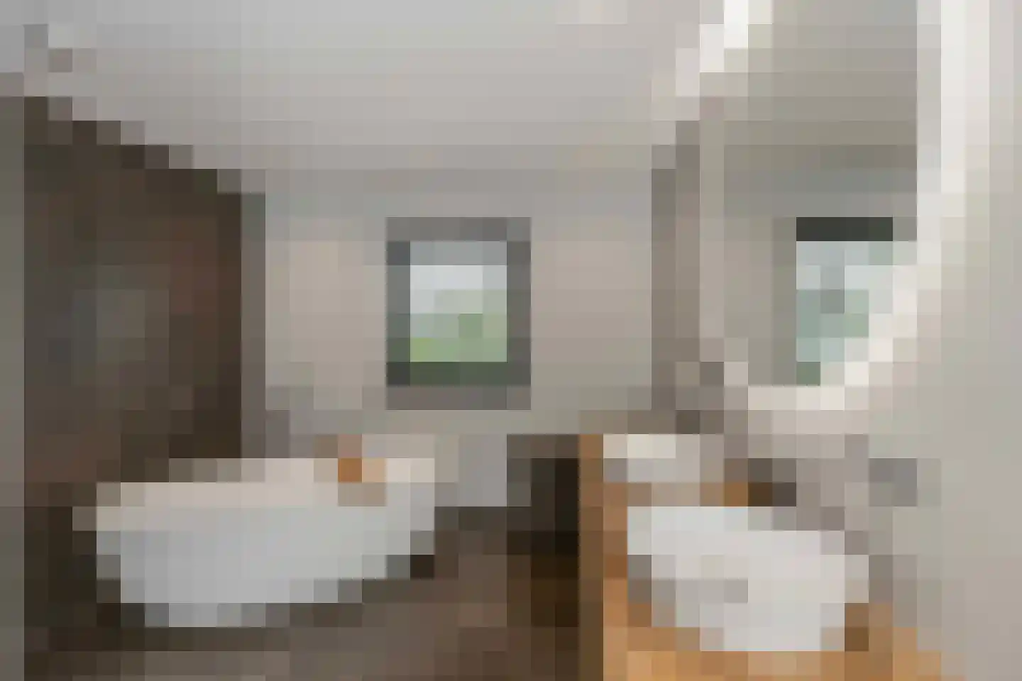 Molenakkers 43 Bakel thumbnail 27