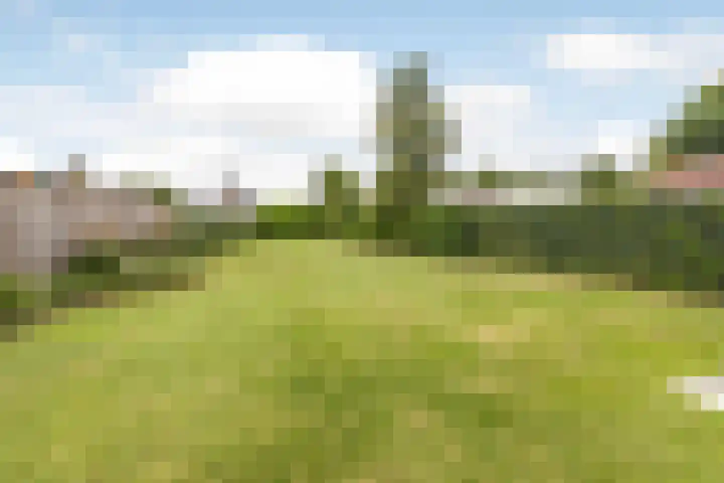 Molenakkers 43 Bakel thumbnail 36