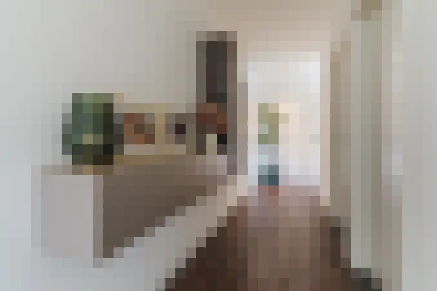 Molenakkers 5 Eersel thumbnail 13