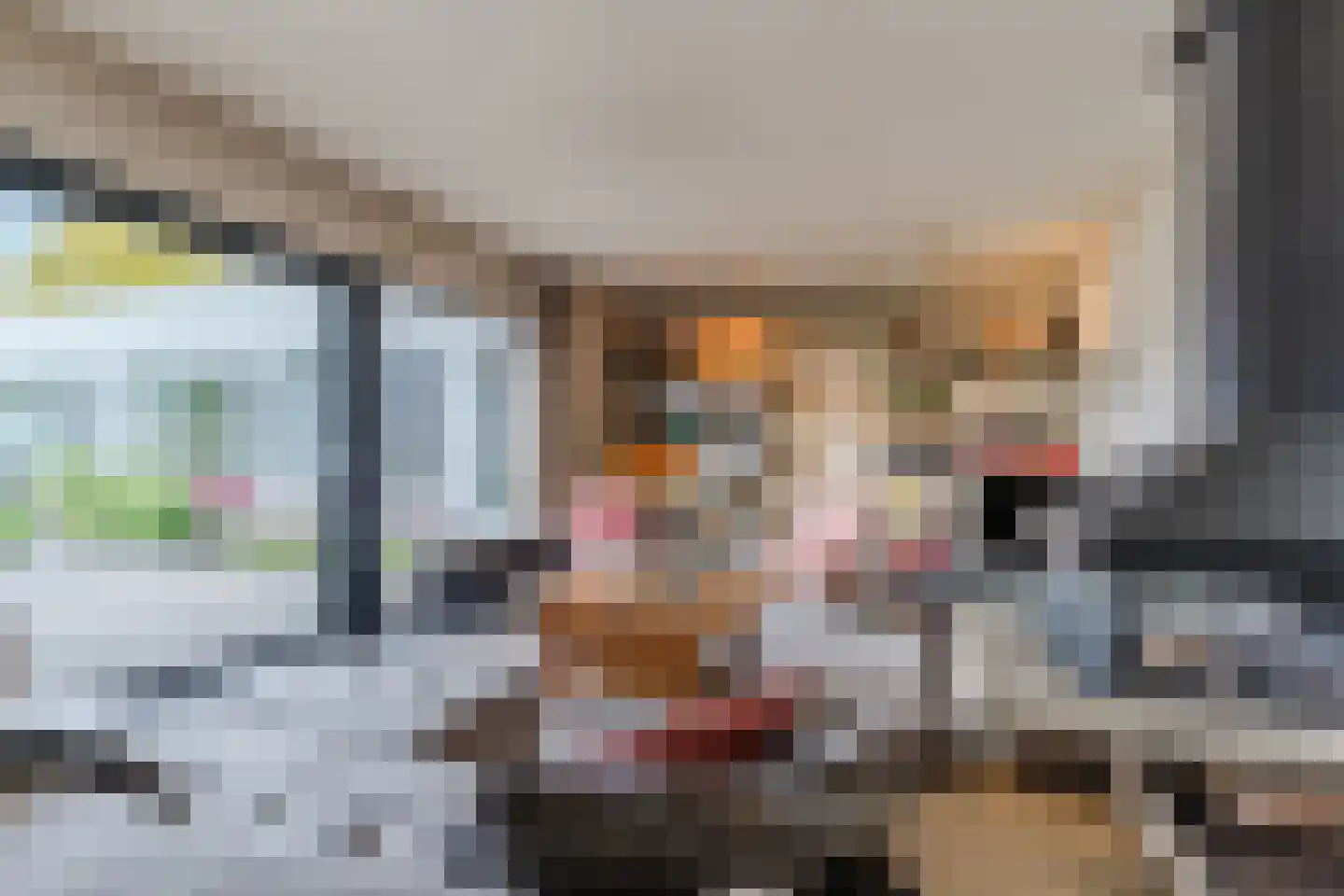 Molenakkers 5 Eersel thumbnail 18