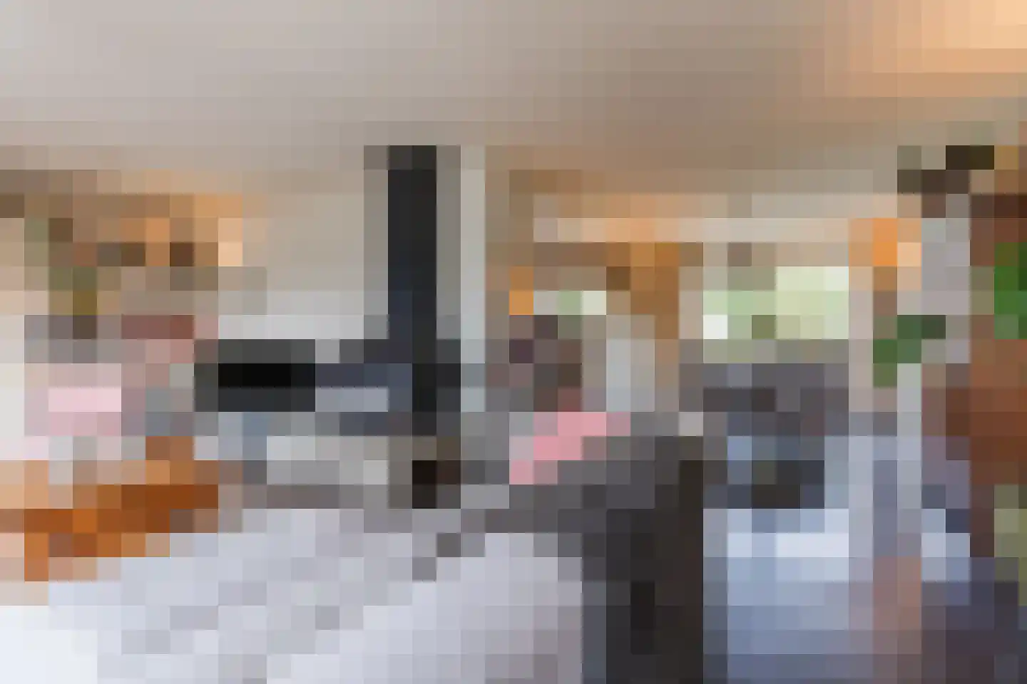 Molenakkers 5 Eersel thumbnail 20
