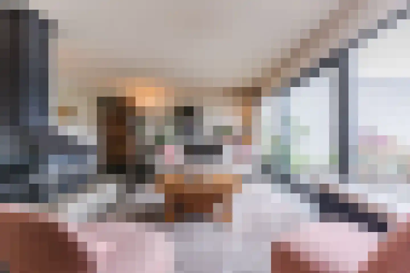 Molenakkers 5 Eersel thumbnail 22