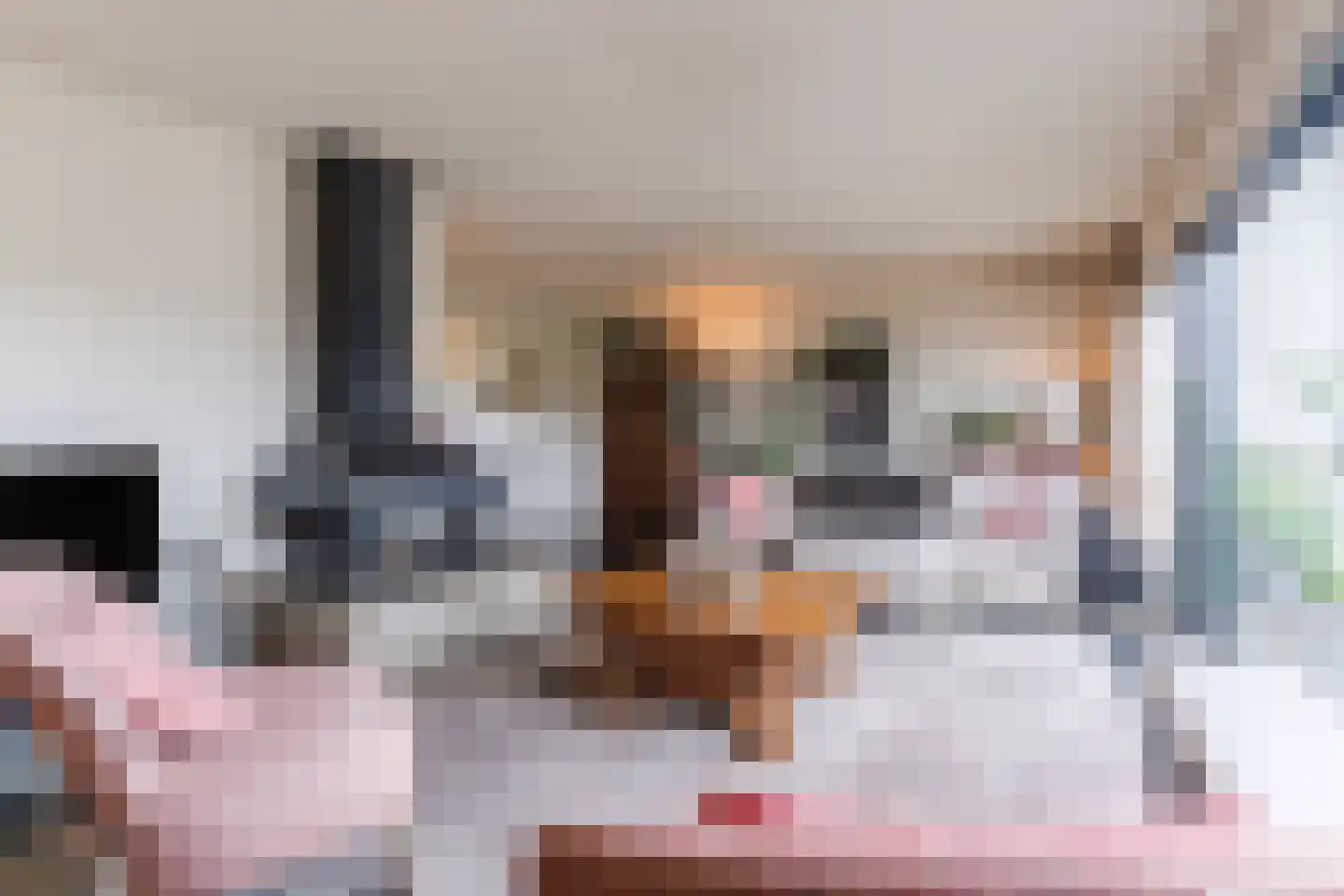 Molenakkers 5 Eersel thumbnail 23