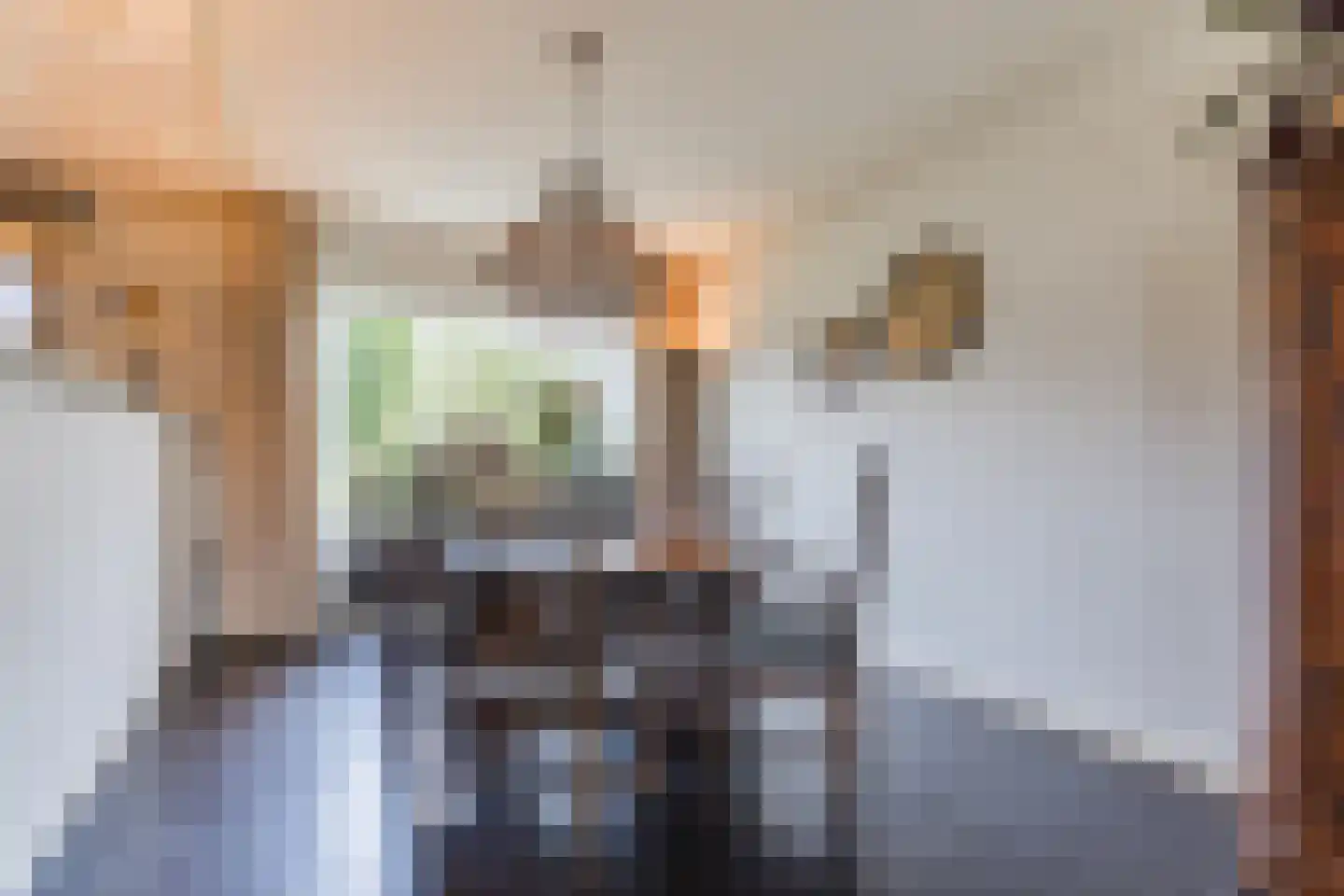 Molenakkers 5 Eersel thumbnail 28