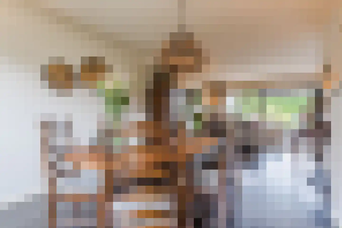Molenakkers 5 Eersel thumbnail 29