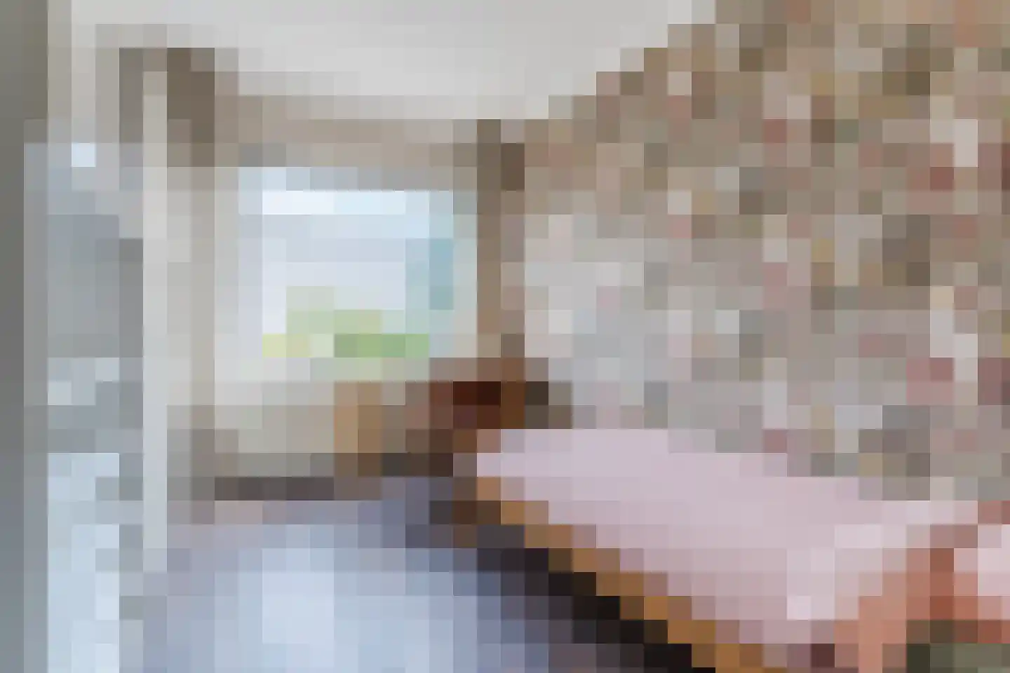 Molenakkers 5 Eersel thumbnail 39