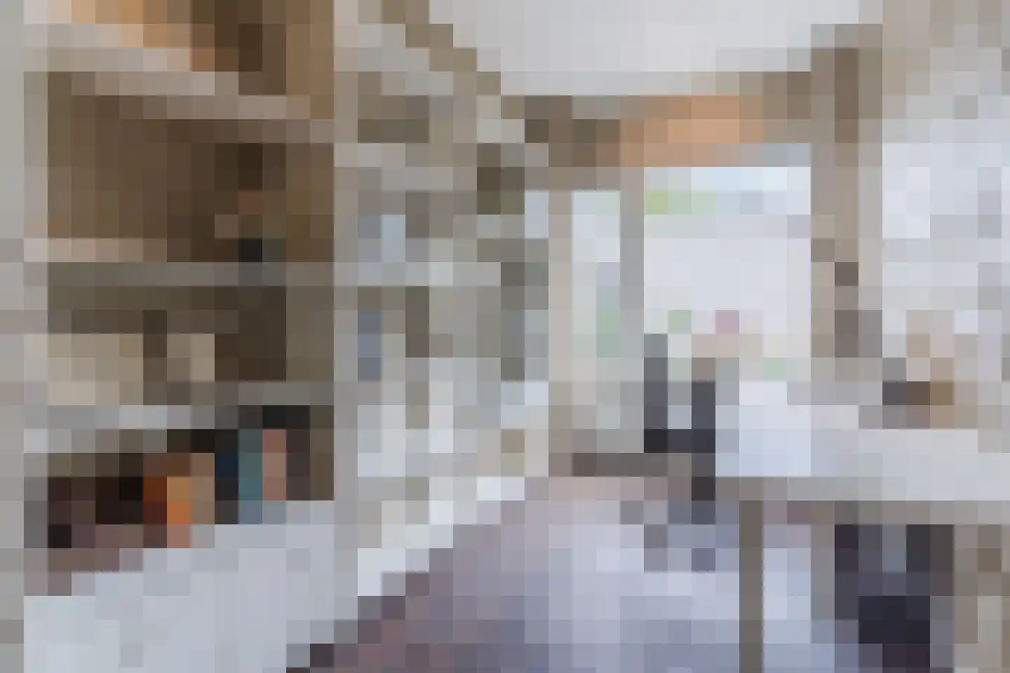 Molenakkers 5 Eersel thumbnail 41