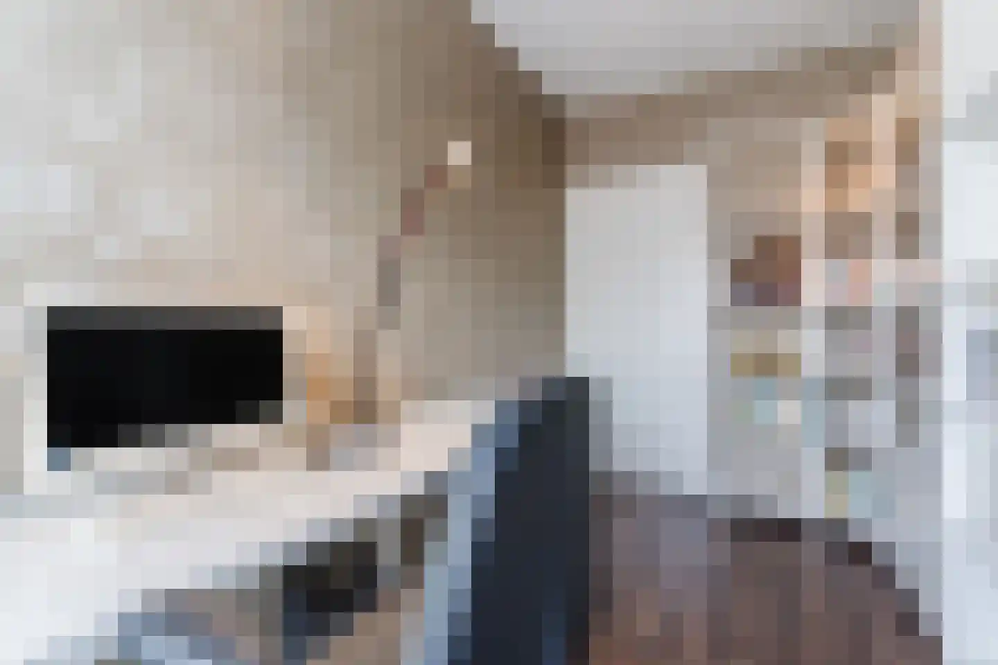 Molenakkers 5 Eersel thumbnail 42