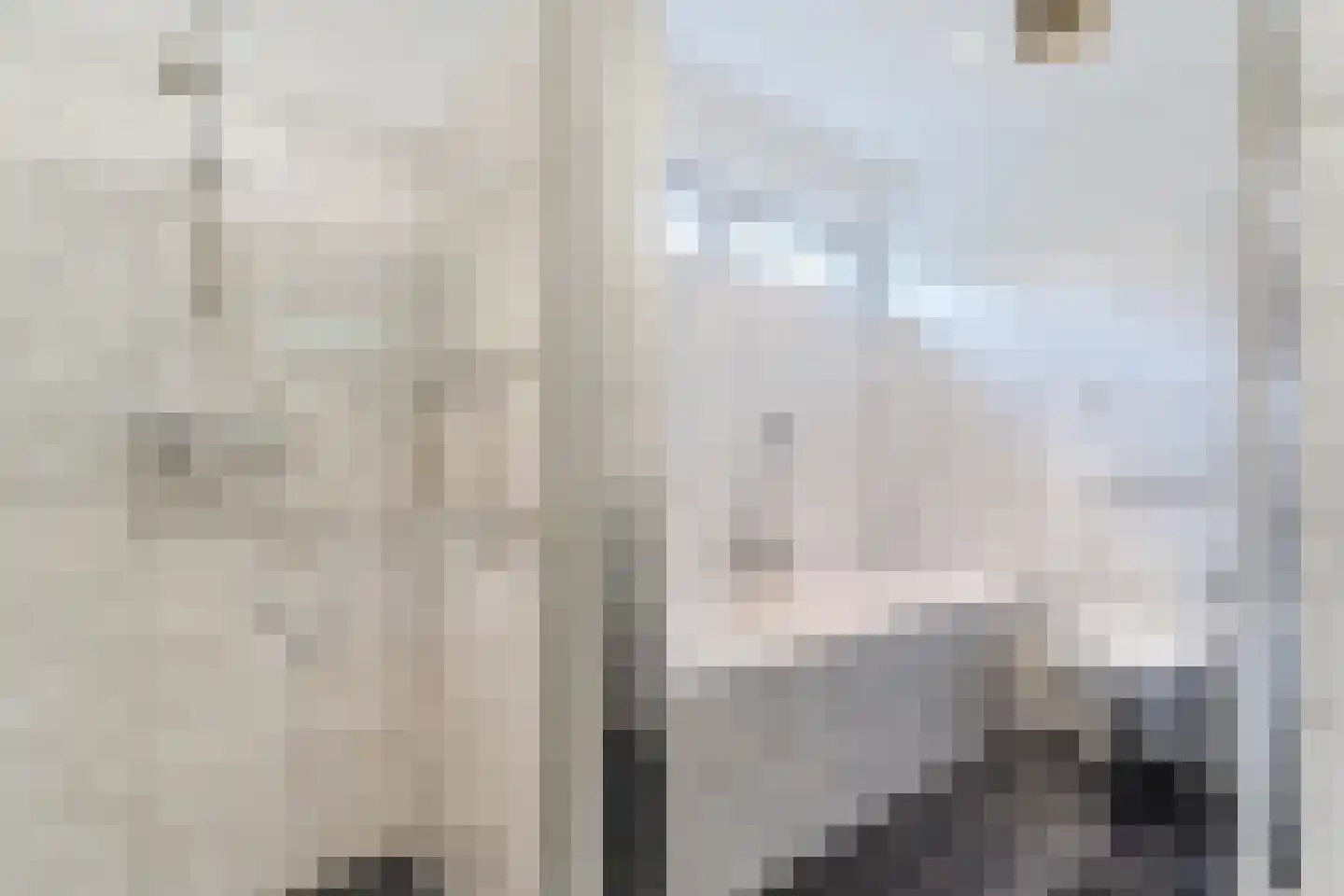 Molenakkers 5 Eersel thumbnail 43
